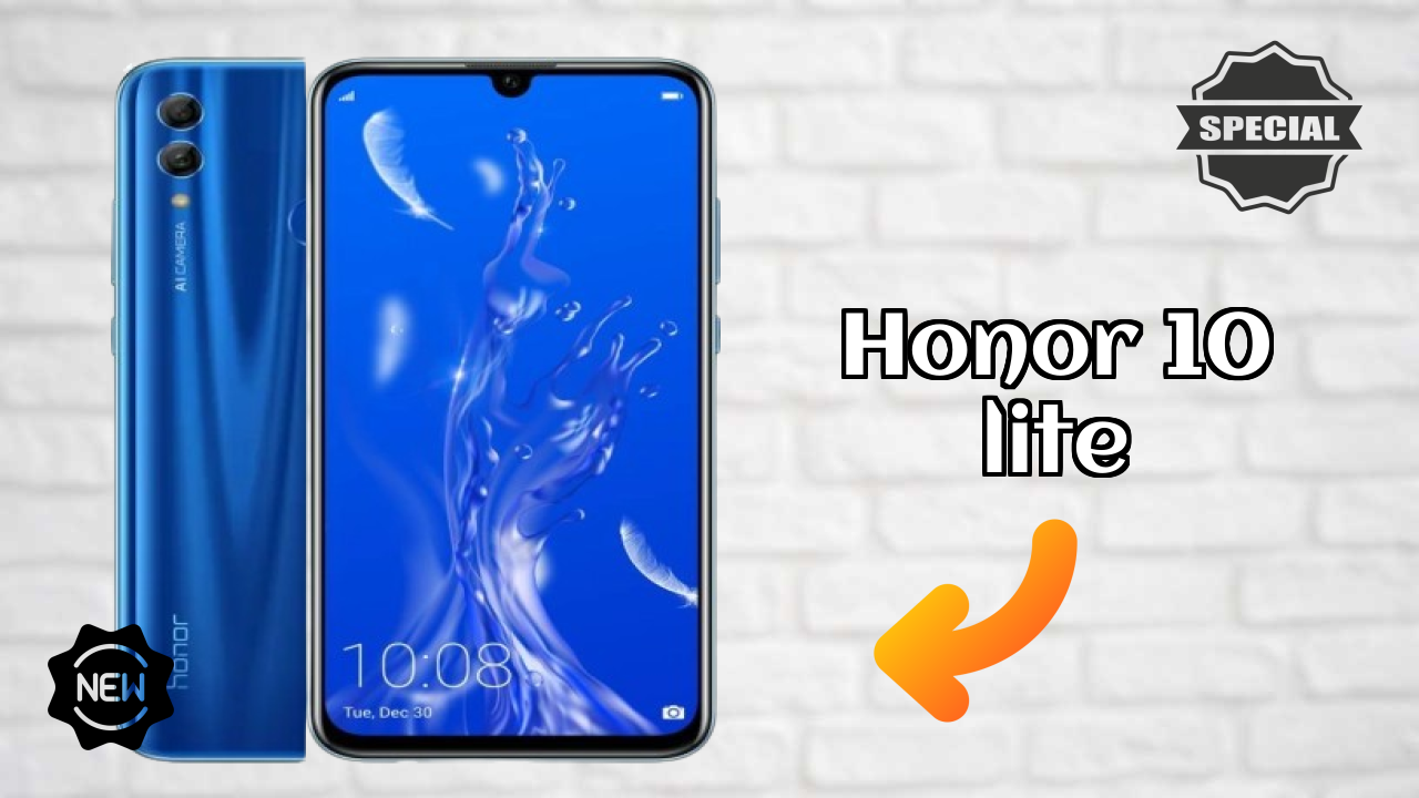 Honor 10 Lite Camera Review: 13 MP + 2 MP Rear Camera Photo Samples